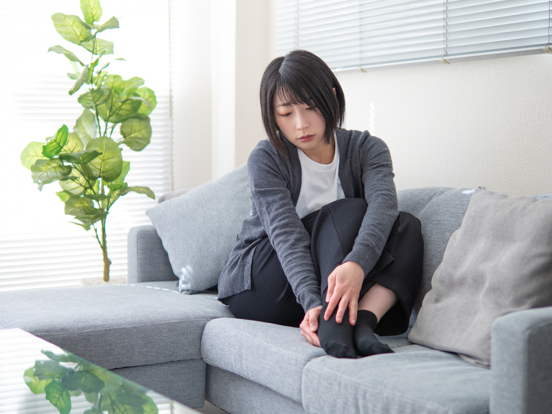 記事のサムネイル